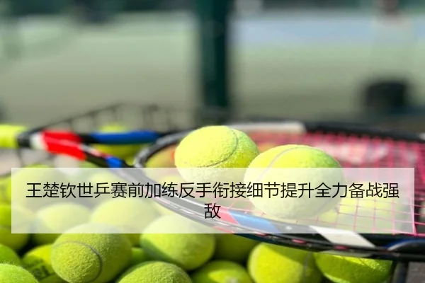 王楚钦世乒赛前加练反手衔接细节提升全力备战强敌